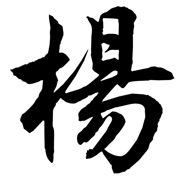 杨钟健