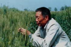 赵洪璋