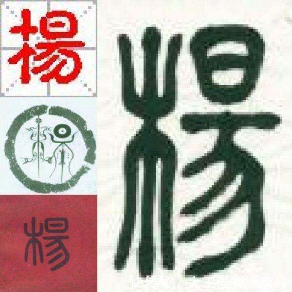 杨江帆