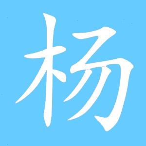 杨胜勇