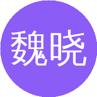 魏晓勇(西安交通大学)