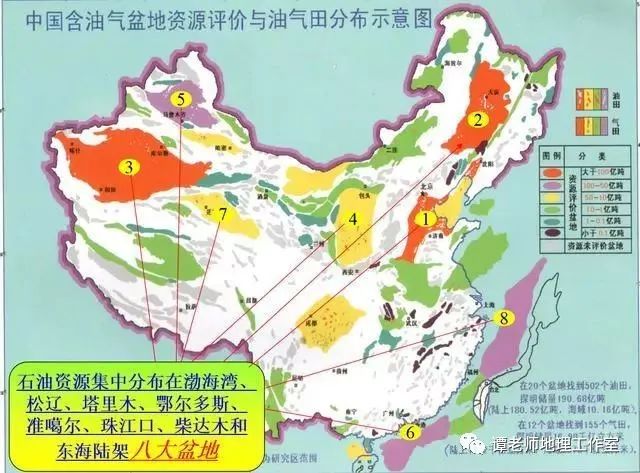 沈水龙